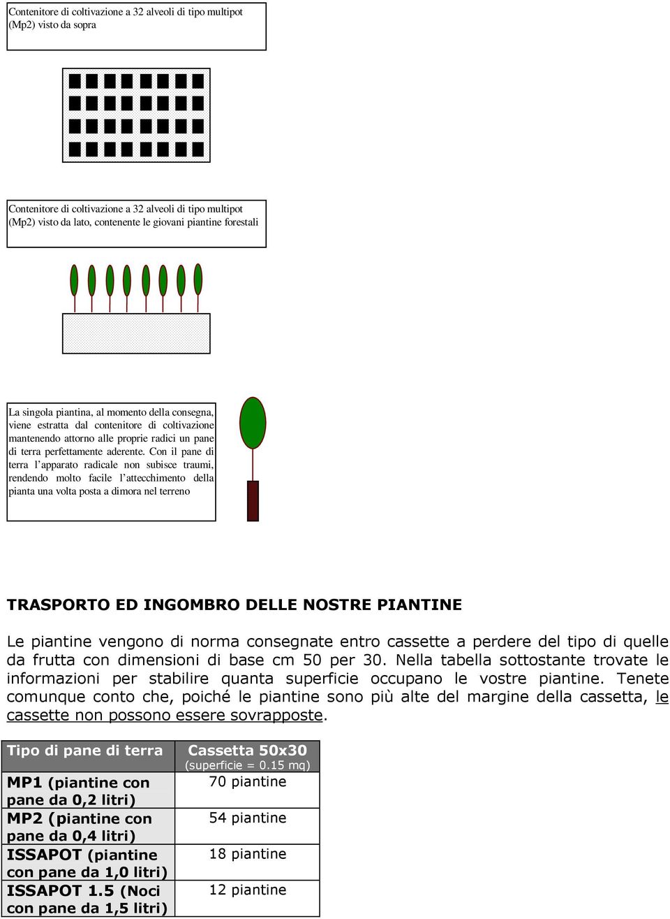 Con il pane di terra l apparato radicale non subisce traumi, rendendo molto facile l attecchimento della pianta una volta posta a dimora nel terreno TRASPORTO ED INGOMBRO DELLE NOSTRE PIANTINE Le