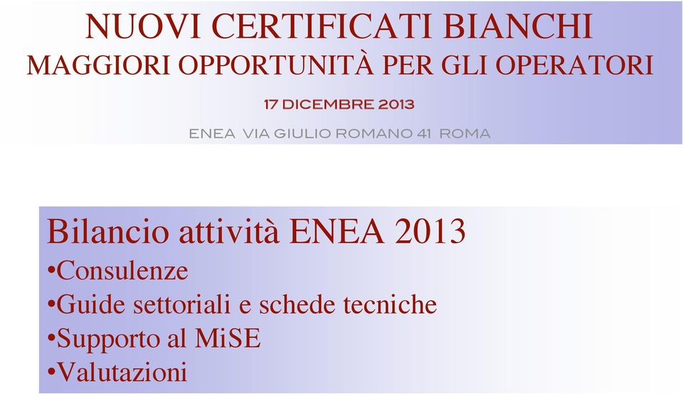 41 ROMA Bilancio attività ENEA 2013 Consulenze Guide