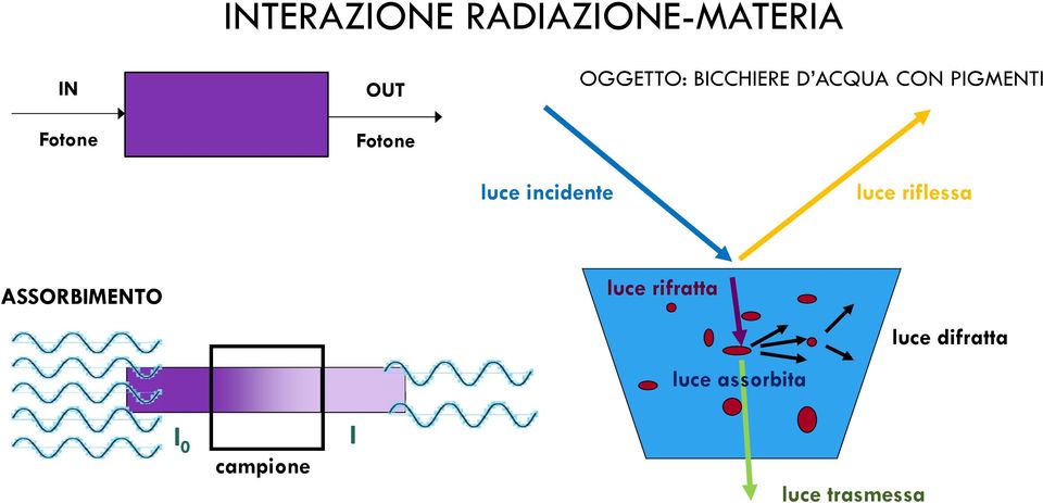 incidente luce riflessa ASSORBIMENTO luce rifratta