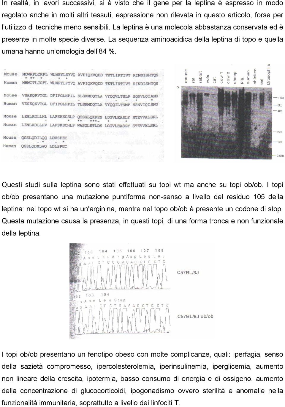 La sequenza aminoacidica della leptina di topo e quella umana hanno un omologia dell 84 %. Questi studi sulla leptina sono stati effettuati su topi wt ma anche su topi ob/ob.