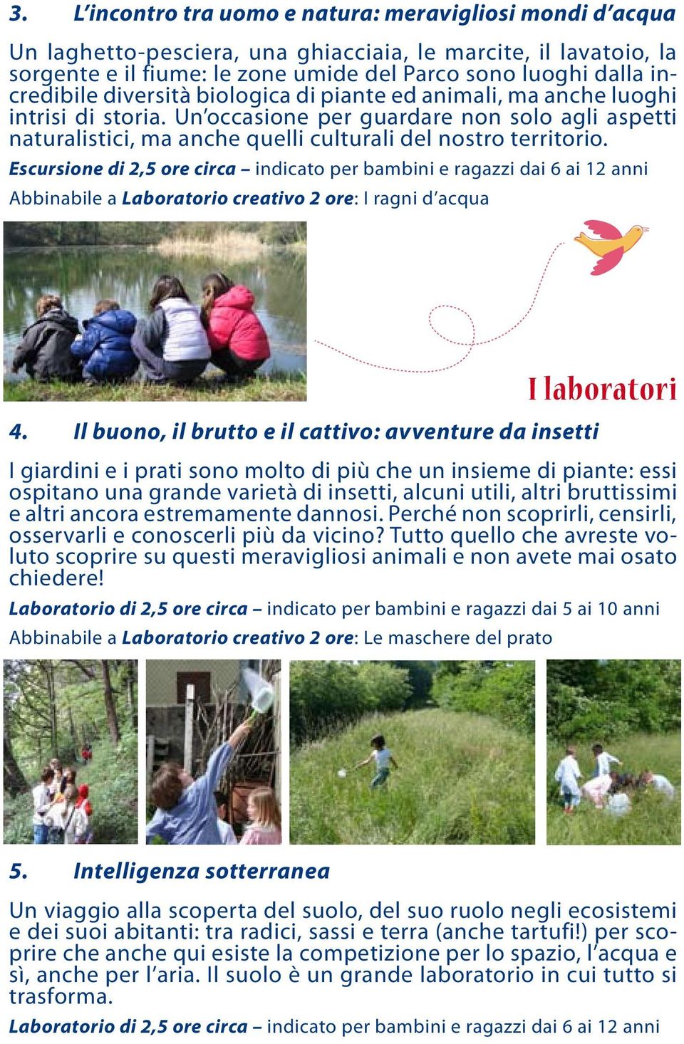Escursione di 2,5 ore circa indicato per bambini e ragazzi dai 6 ai 12 anni Abbinabile a Laboratorio creativo 2 ore: I ragni d acqua I laboratori 4.