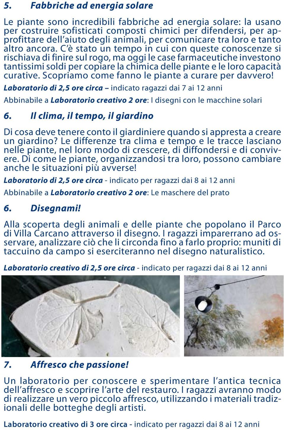 C è stato un tempo in cui con queste conoscenze si rischiava di finire sul rogo, ma oggi le case farmaceutiche investono tantissimi soldi per copiare la chimica delle piante e le loro capacità