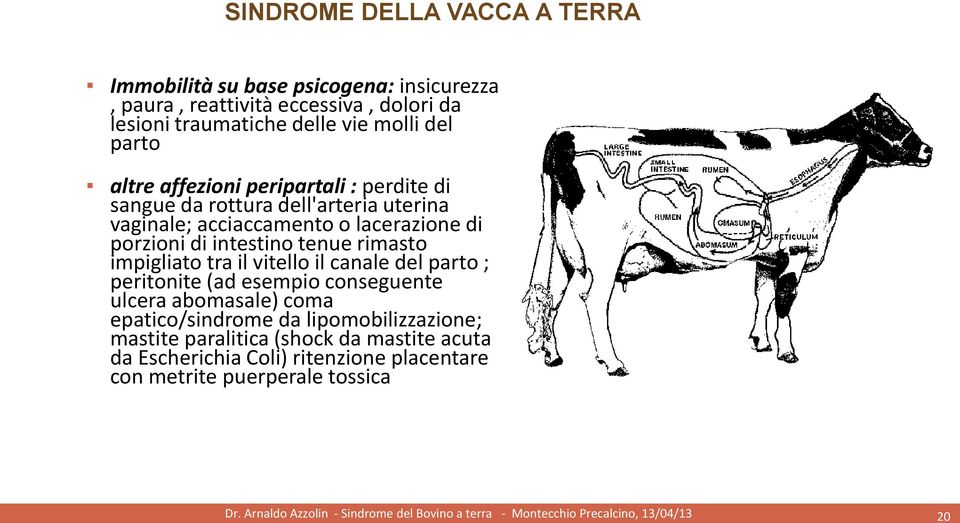 canale del parto ; peritonite (ad esempio conseguente ulcera abomasale) coma epatico/sindrome da lipomobilizzazione; mastite paralitica (shock da mastite
