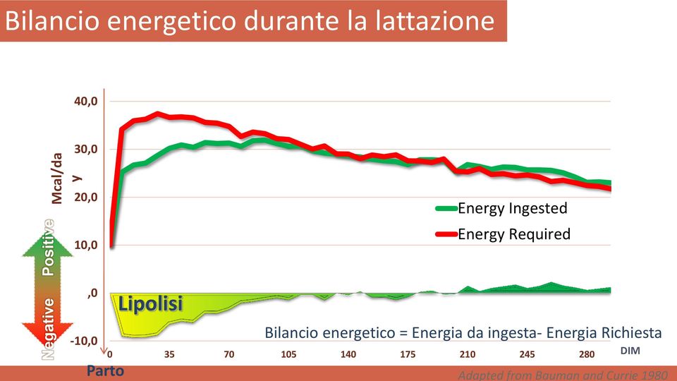 Lipolisi Bilancio energetico = Energia da ingesta- Energia Richiesta