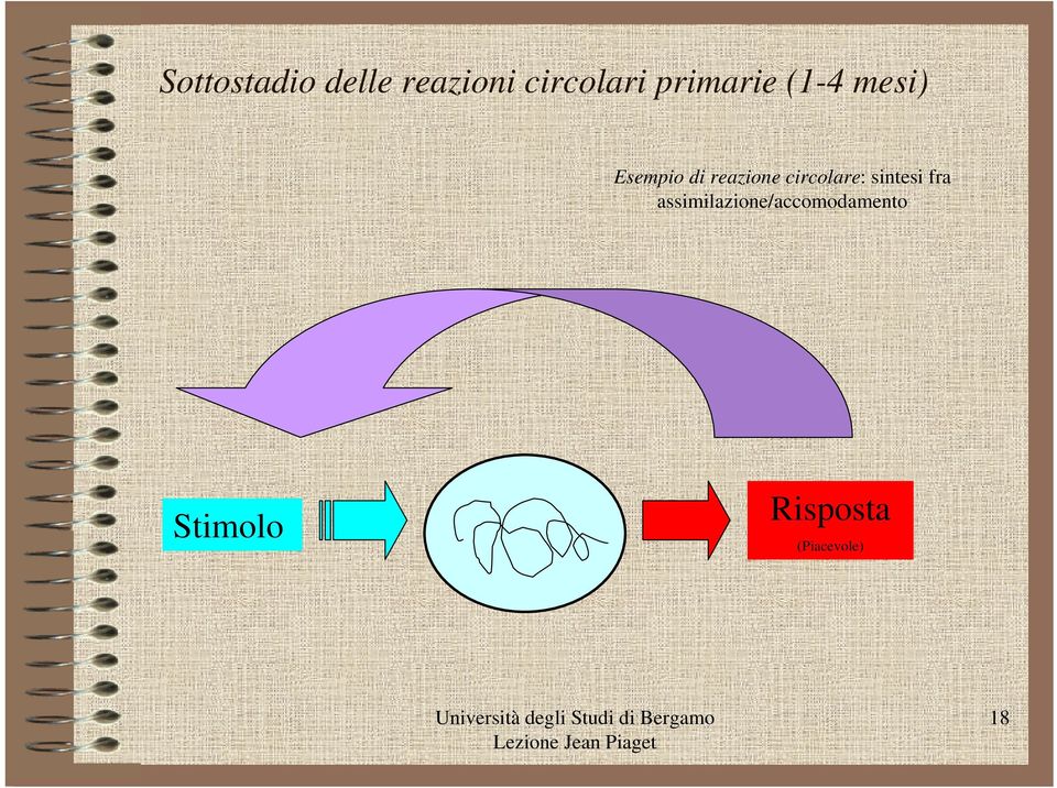 circolare: sintesi fra