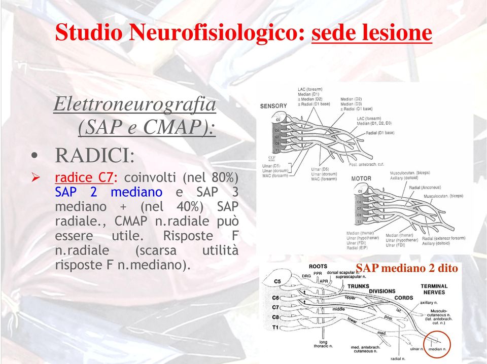 mediano + (nel 40%) SAP radiale., CMAP n.radiale può essere utile.