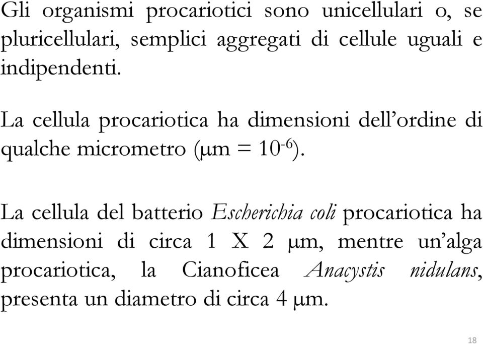 La cellula procariotica ha dimensioni dell ordine di qualche micrometro (µm = 10-6 ).