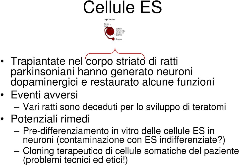 di teratomi Potenziali rimedi Pre-differenziamento in vitro delle cellule ES in neuroni