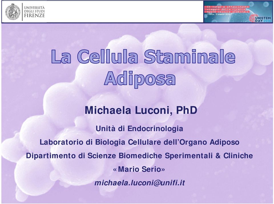 Adiposo Dipartimento di Scienze Biomediche