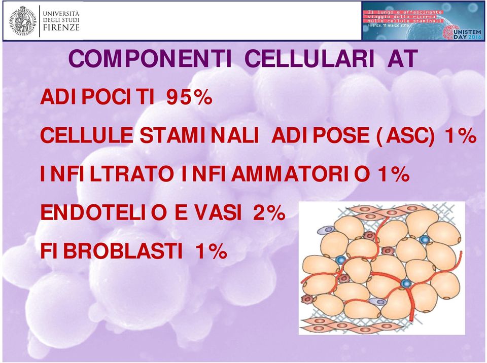 (ASC) 1% INFILTRATO INFIAMMATORIO