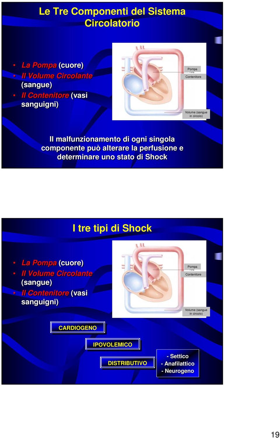 determinare uno stato di Shock I tre tipi di Shock La Pompa (cuore) Il Volume Circolante (sangue) Il Contenitore (vasi