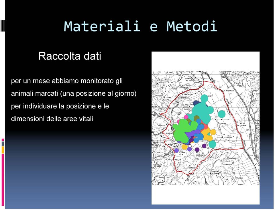 marcati (una posizione al giorno) per