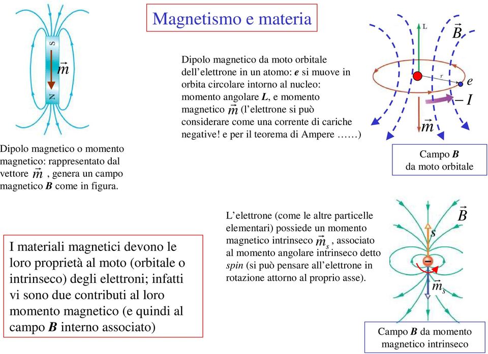 m e Campo da moto orbitale materiali magnetici devono le loro proprietà al moto (orbitale o intrinseco) degli elettroni; infatti vi sono due contributi al loro momento magnetico (e quindi al campo