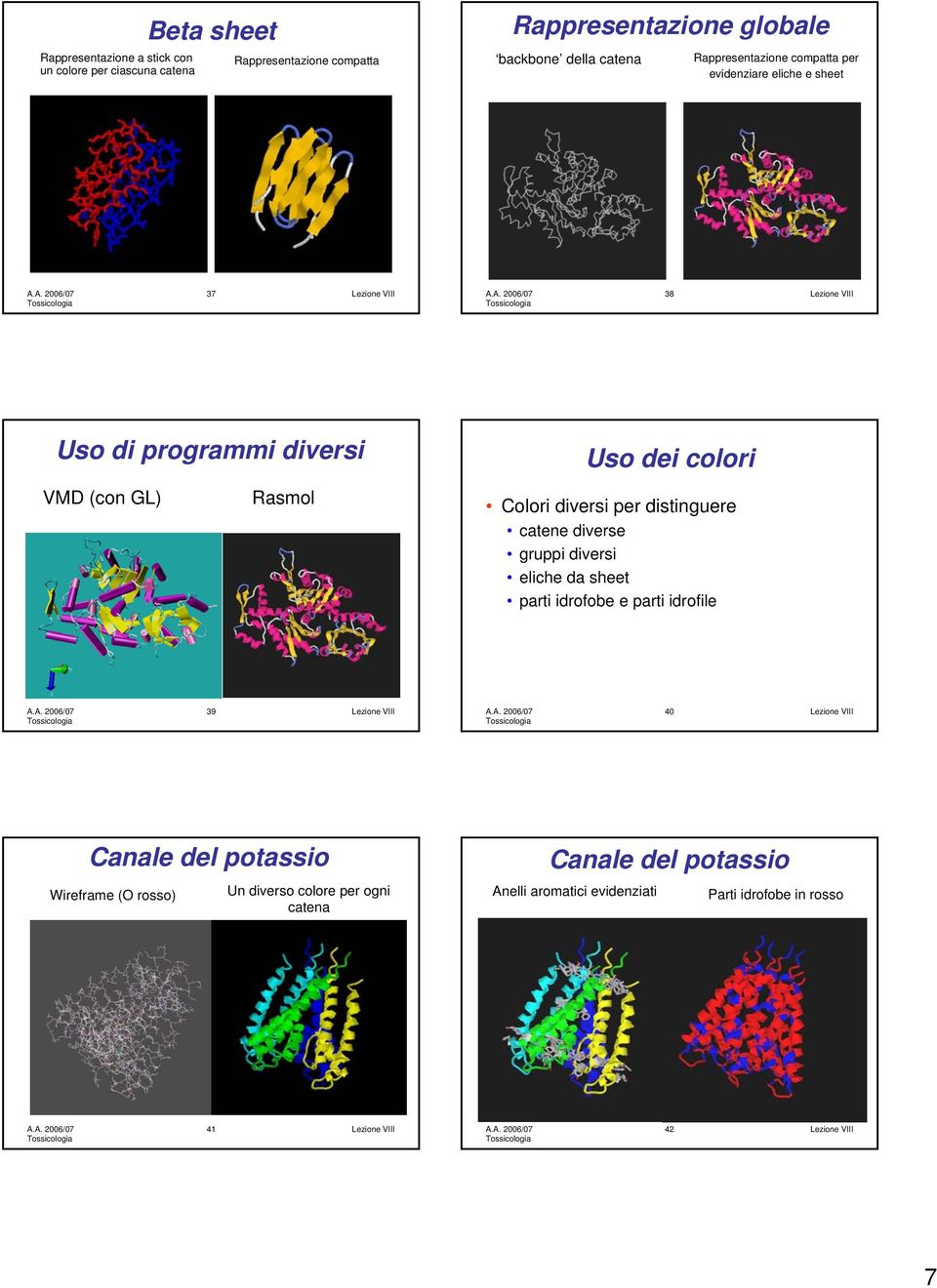 Colori diversi per distinguere catene diverse gruppi diversi eliche da sheet parti idrofobe e parti idrofile 39 Lezione VIII 40 Lezione VIII Canale del