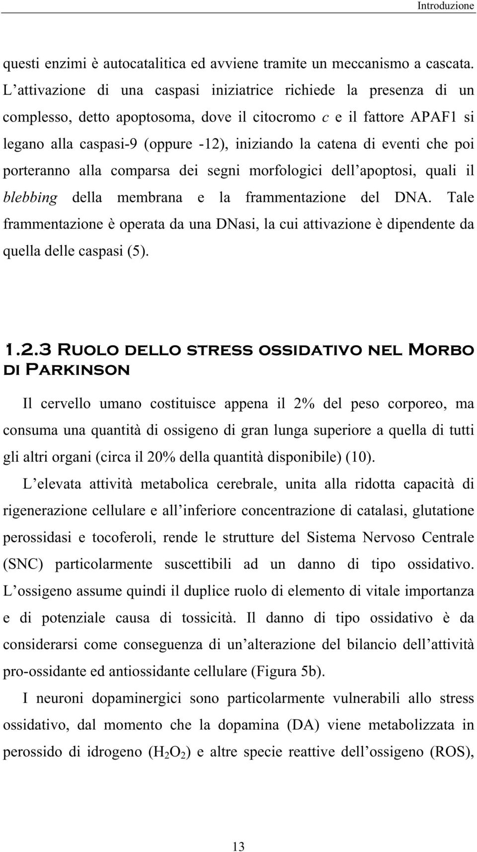 eventi che poi porteranno alla comparsa dei segni morfologici dell apoptosi, quali il blebbing della membrana e la frammentazione del DNA.