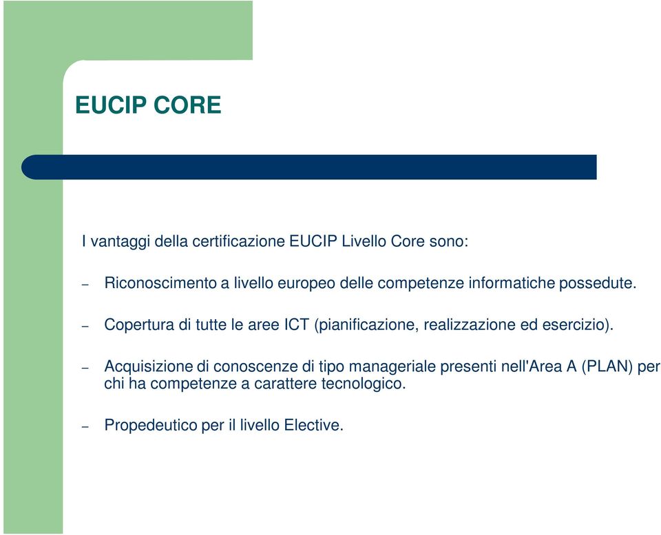 Copertura di tutte le aree ICT (pianificazione, realizzazione ed esercizio).