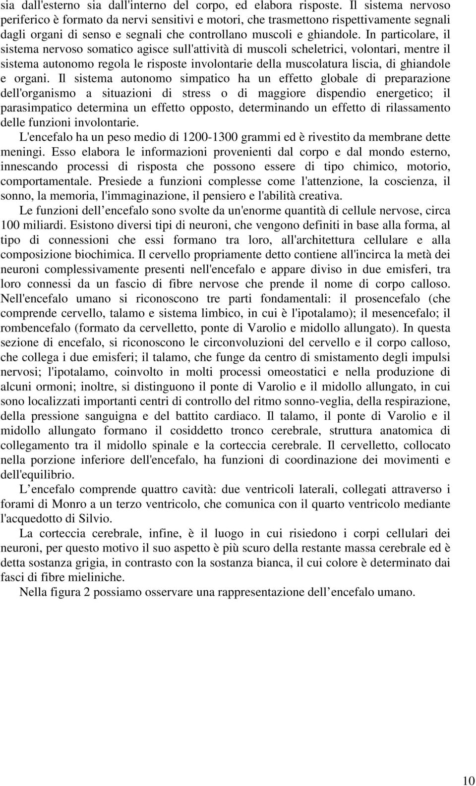 In particolare, il sistema nervoso somatico agisce sull'attività di muscoli scheletrici, volontari, mentre il sistema autonomo regola le risposte involontarie della muscolatura liscia, di ghiandole e