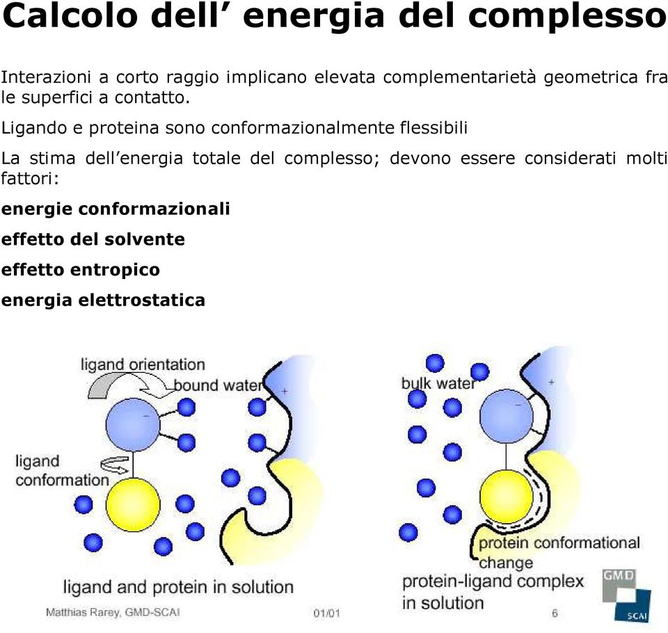Ligando e proteina sono conformazionalmente flessibili La stima dell energia totale del