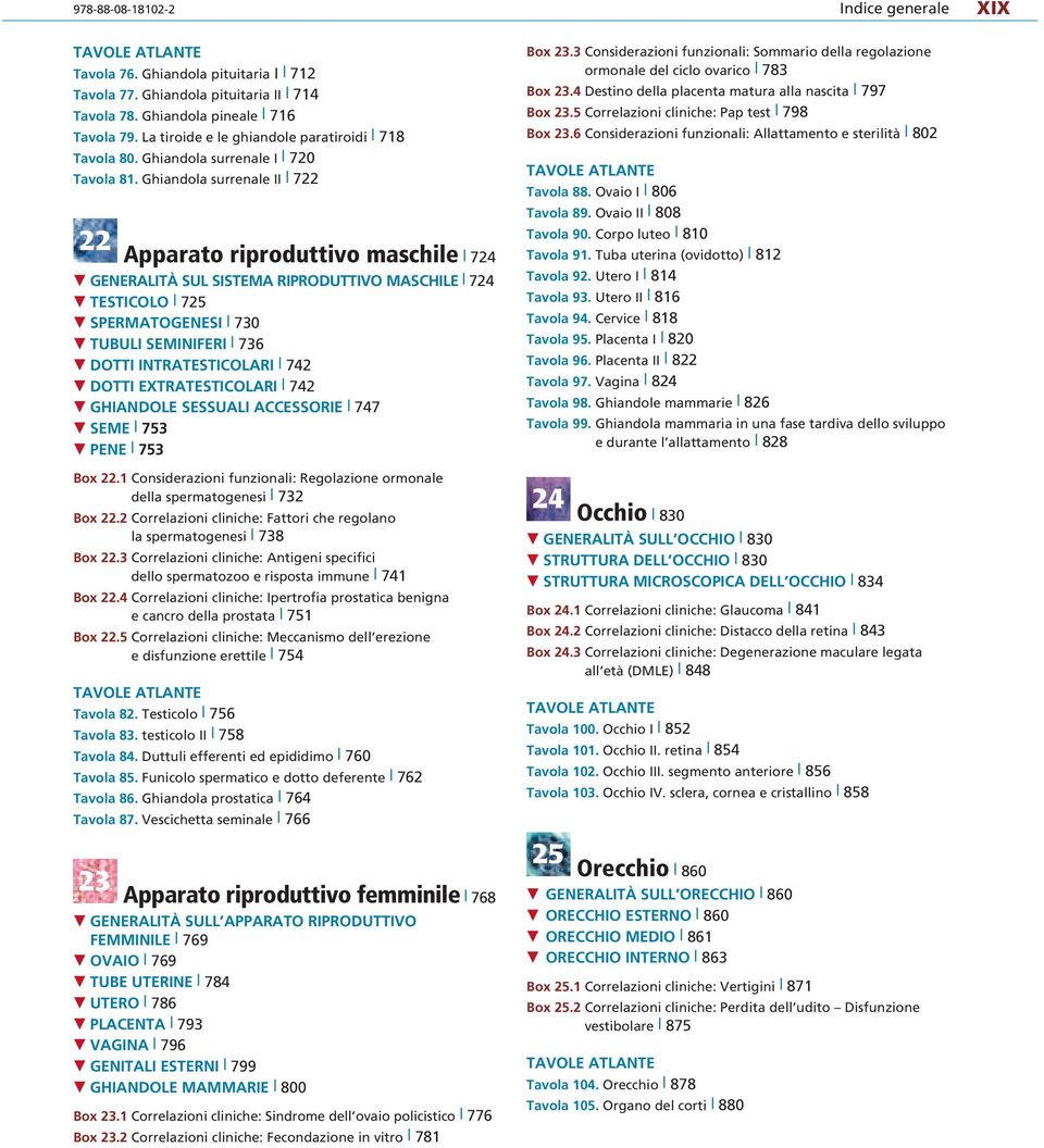 Ghiandola surrenale II 722 22 Apparato riproduttivo maschile 724 GENERALITÀ SUL SISTEMA RIPRODUTTIVO MASCHILE 724 TESTICOLO 725 SPERMATOGENESI 730 TUBULI SEMINIFERI 736 DOTTI INTRATESTICOLARI 742