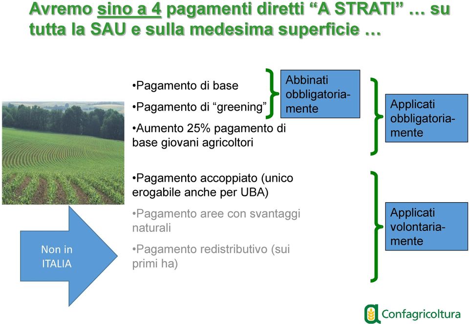 obbligatoriamente Applicati obbligatoriamente Non in ITALIA Pagamento accoppiato (unico erogabile