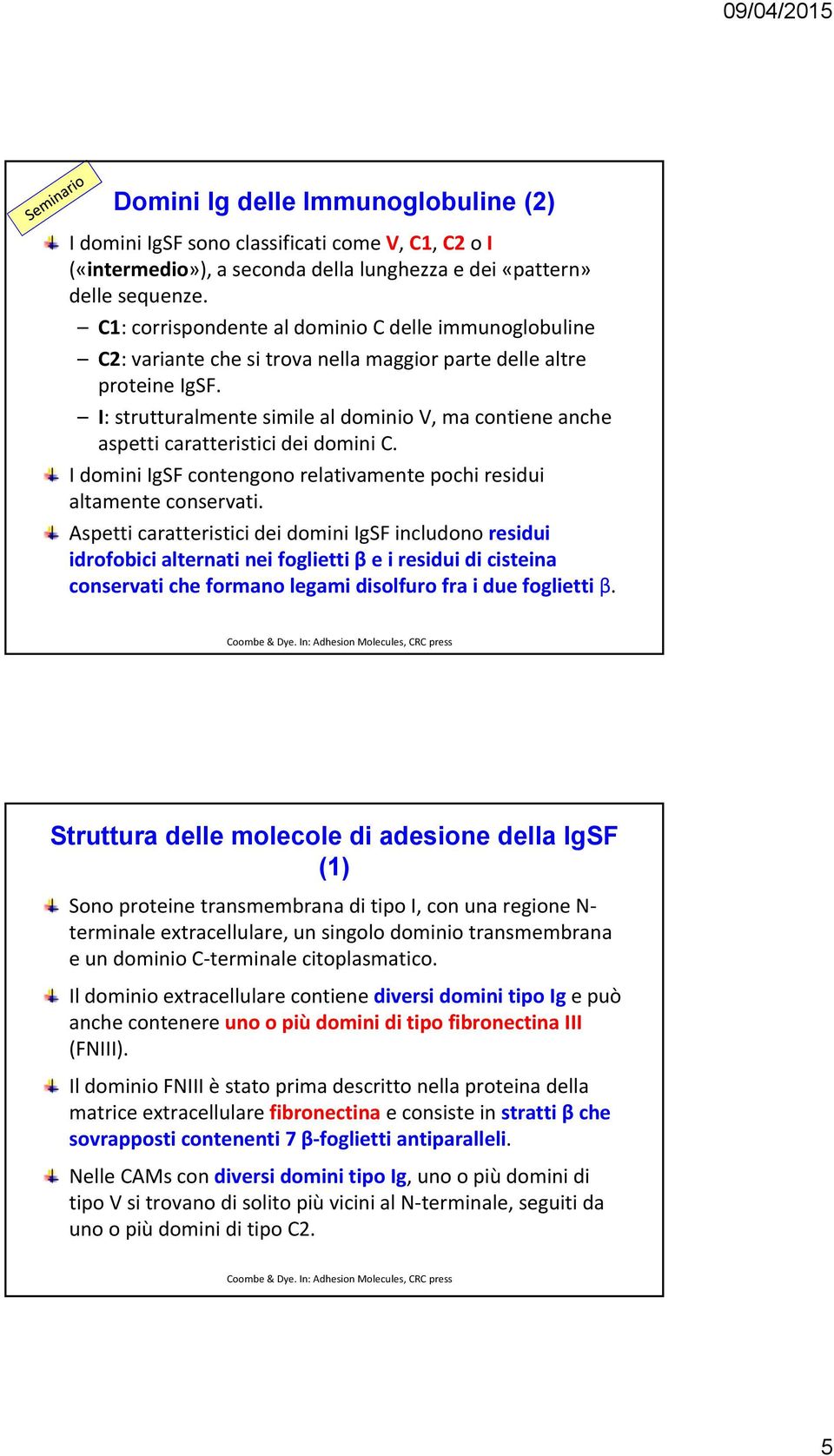 I: strutturalmente simile al dominio V, ma contiene anche aspetti caratteristici dei domini C. I domini IgSF contengono relativamente pochi residui altamente conservati.