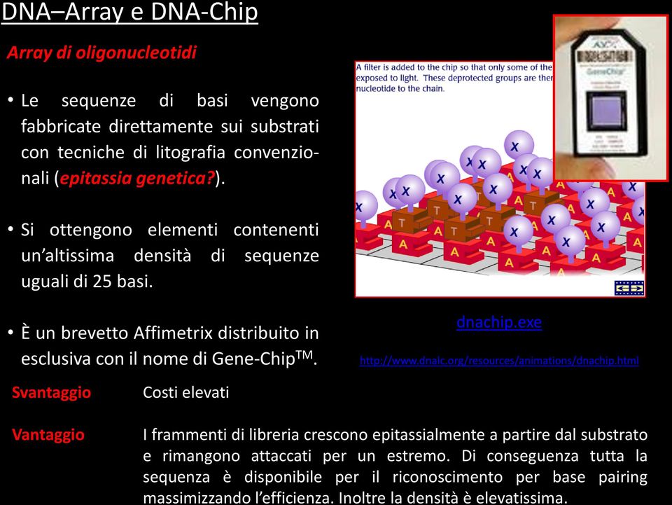 dnachip.exe http://www.dnalc.org/resources/animations/dnachip.