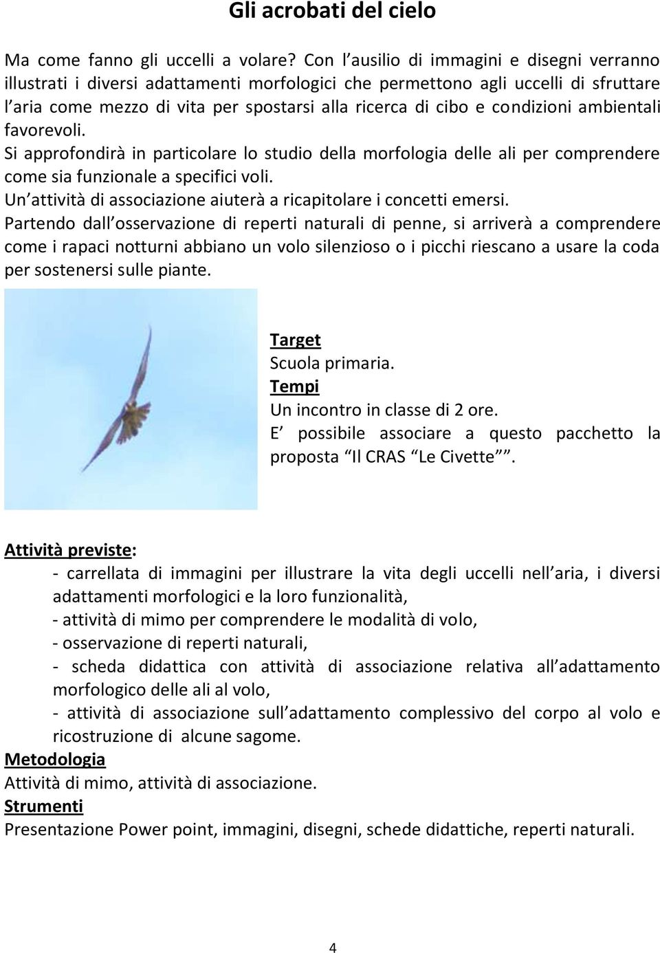 condizioni ambientali favorevoli. Si approfondirà in particolare lo studio della morfologia delle ali per comprendere come sia funzionale a specifici voli.