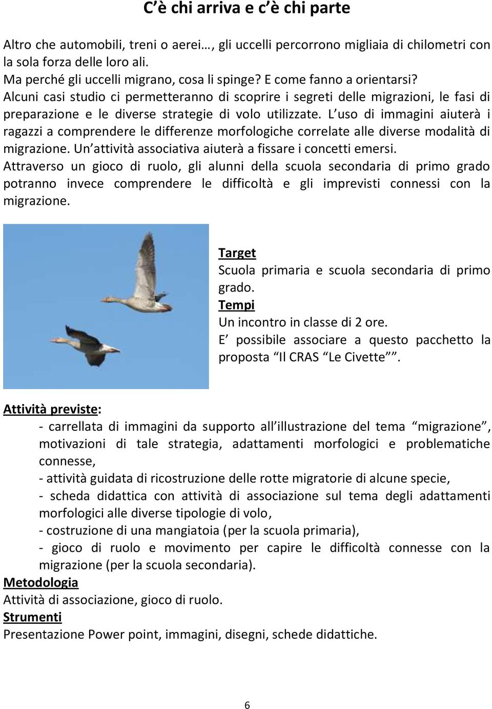 L uso di immagini aiuterà i ragazzi a comprendere le differenze morfologiche correlate alle diverse modalità di migrazione. Un attività associativa aiuterà a fissare i concetti emersi.