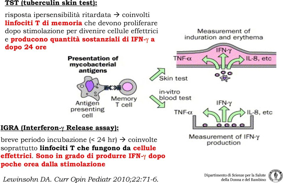 (Interferon-γ Release assay): breve periodo incubazione (< 24 hr) à coinvolte soprattutto linfociti T che fungono da