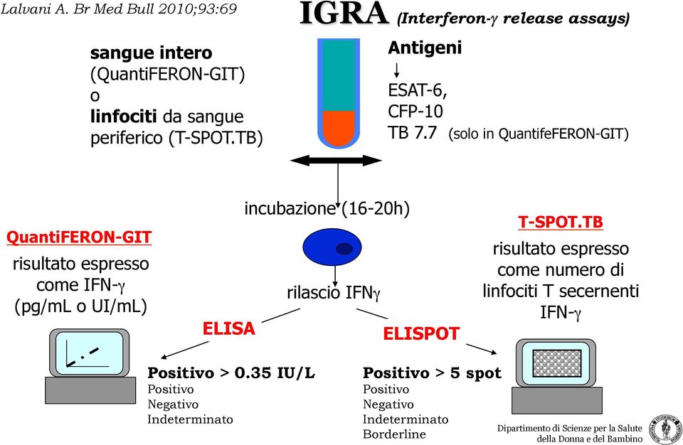 7 (solo in QuantifeFERON-GIT) QuantiFERON-GIT risultato espresso come IFN-γ (pg/ml o UI/mL) incubazione (16-20h) rilascio