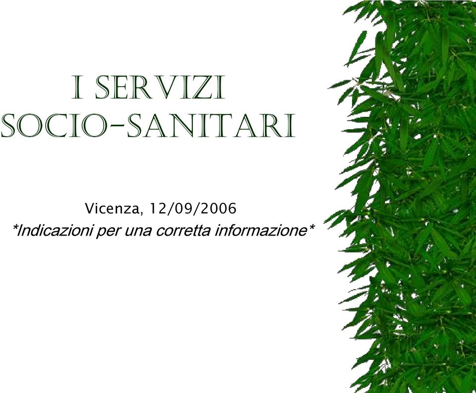 Vicenza, 12/09/2006