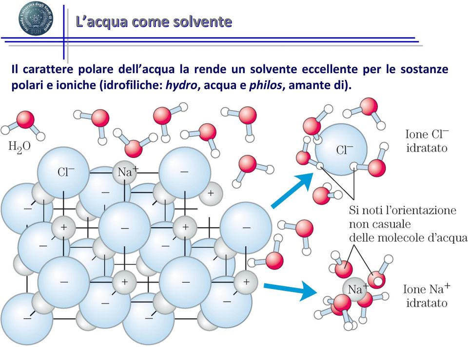 eccellente per le sostanze polari e