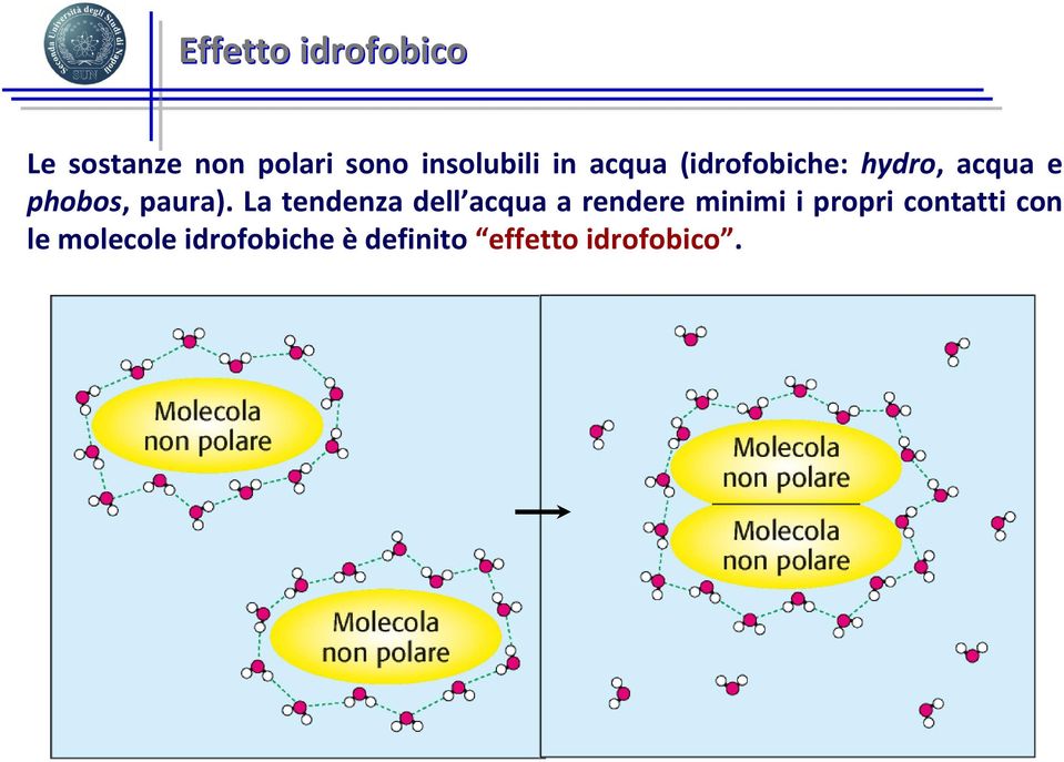 paura).