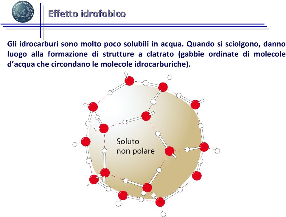 Quando si sciolgono, danno luogo alla formazione di