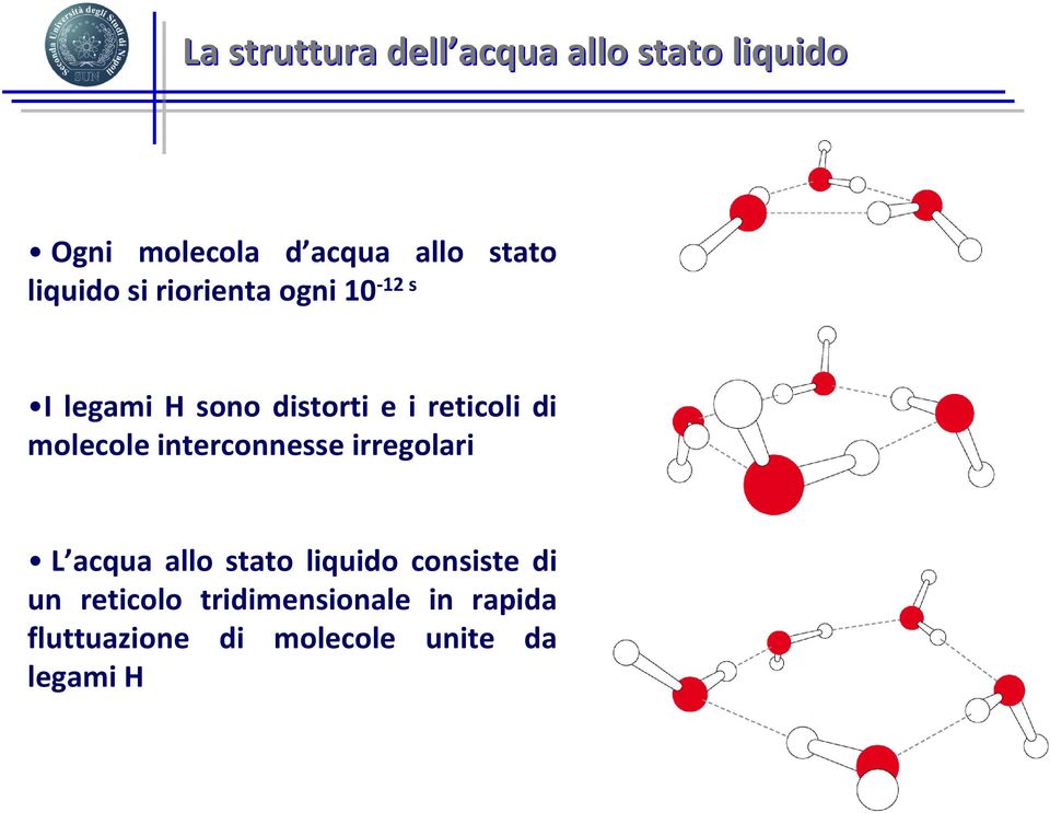 molecole interconnesse irregolari L acqua allo stato liquido consiste di un