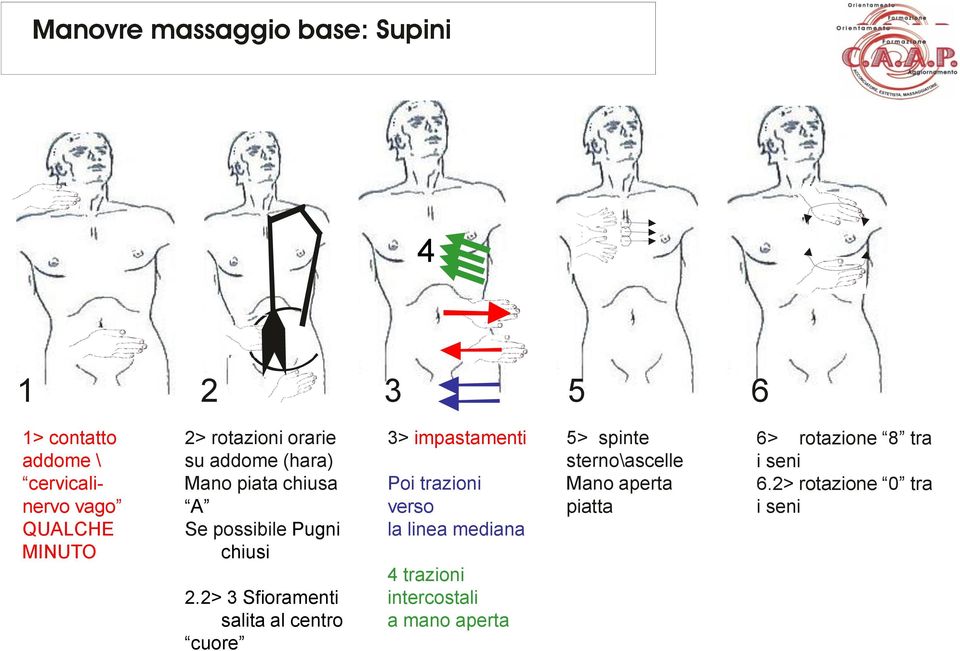 2> 3 Sfioramenti salita al centro cuore 3> impastamenti Poi trazioni verso la linea mediana 4