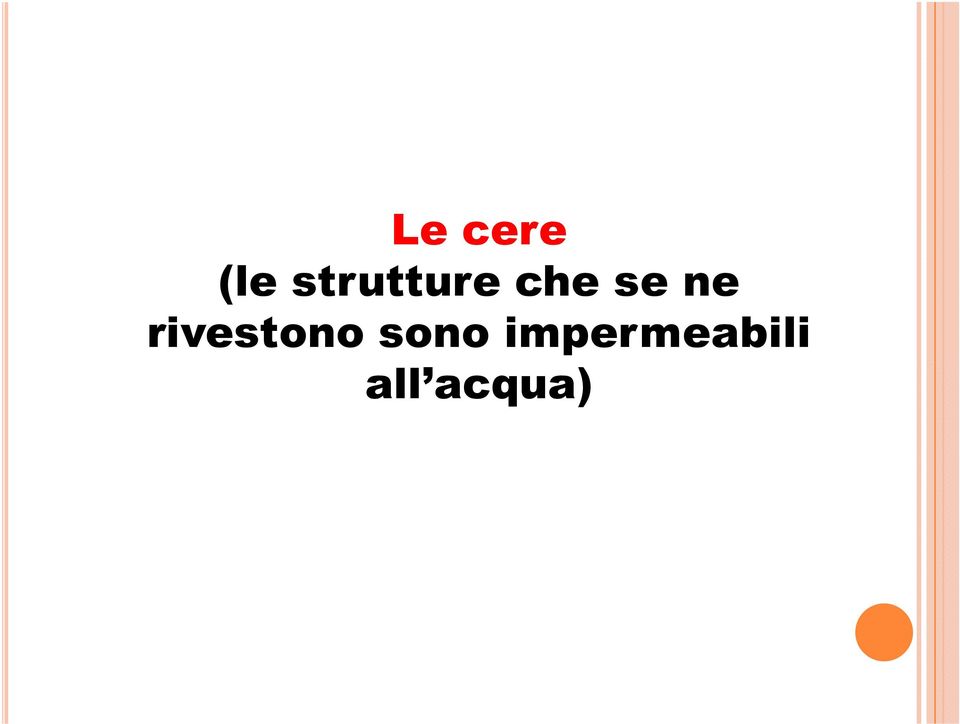 ne rivestono sono