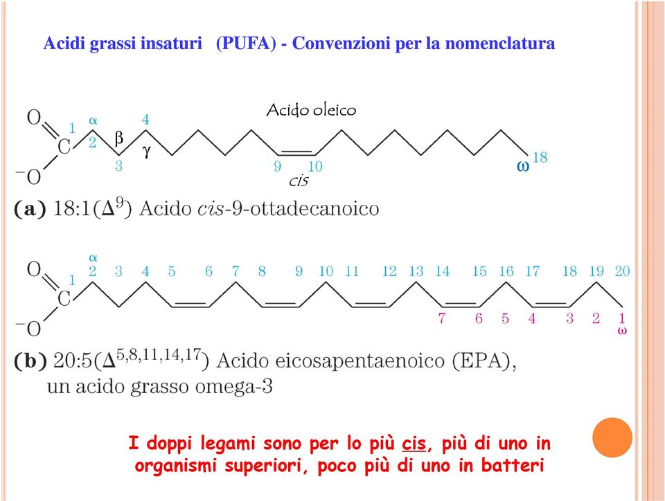 doppi legami sono per lo più cis, più di uno