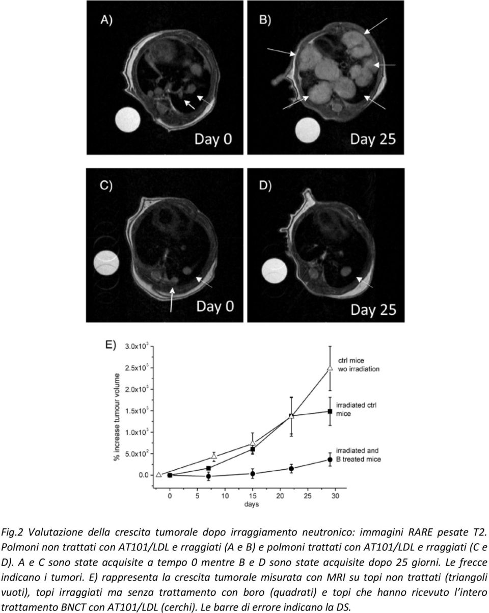 A e C sono state acquisite a tempo 0 mentre B e D sono state acquisite dopo 25 giorni. Le frecce indicano i tumori.