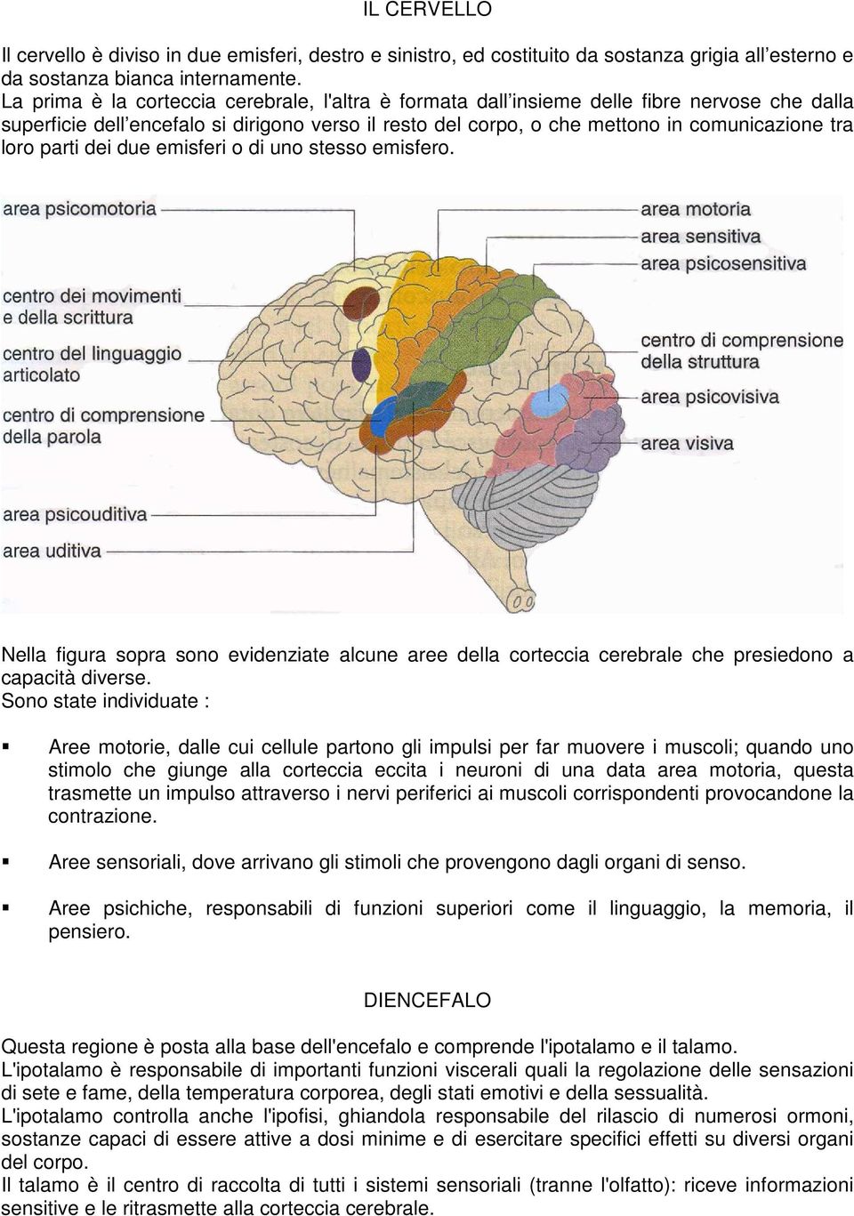 parti dei due emisferi o di uno stesso emisfero. Nella figura sopra sono evidenziate alcune aree della corteccia cerebrale che presiedono a capacità diverse.