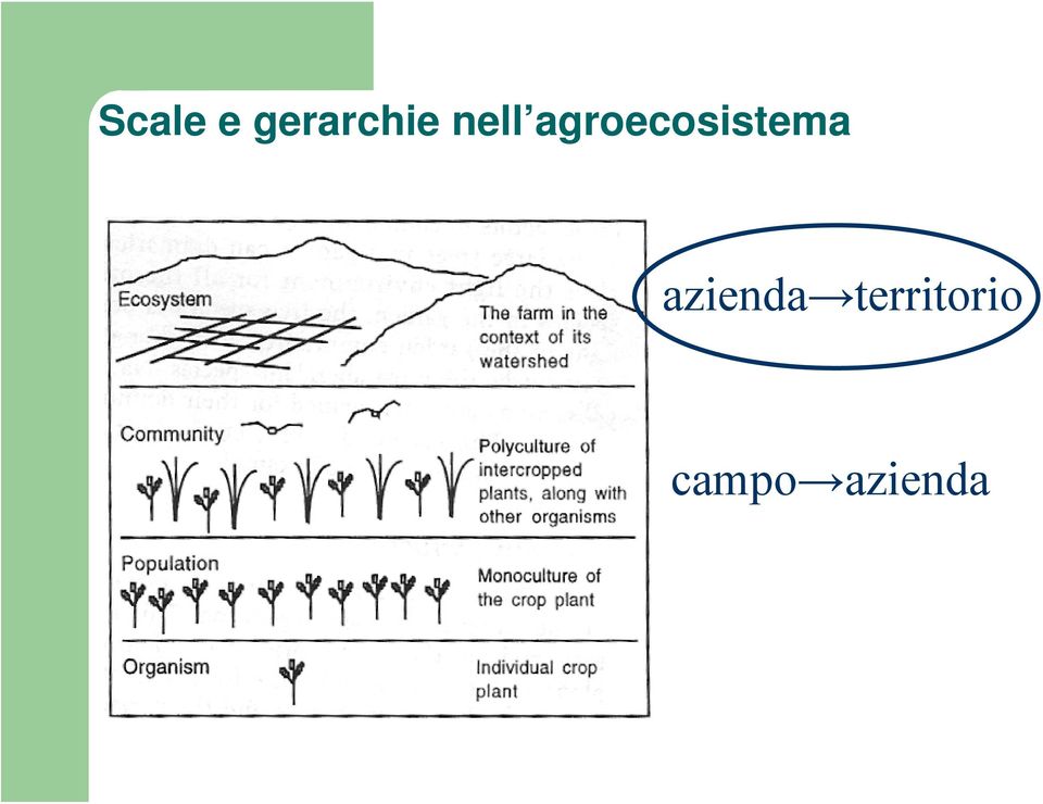 agroecosistema