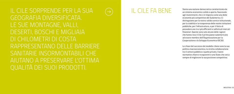 IL CILE FA BENE Siamo una nazione democratica caratterizzata da un sistema economico solido e aperto, favorevole agli investimenti, che si è imposta come una delle economie più competitive del