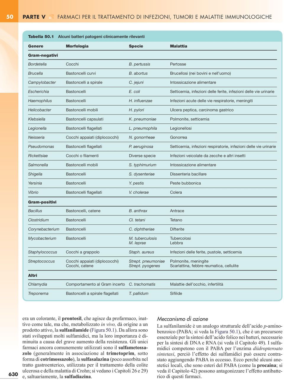 abortus Brucellosi (nei bovini e nell uomo) Campylobacter Bastoncelli a spirale C. euni Intossicazione alimentare Escherichia Bastoncelli E.