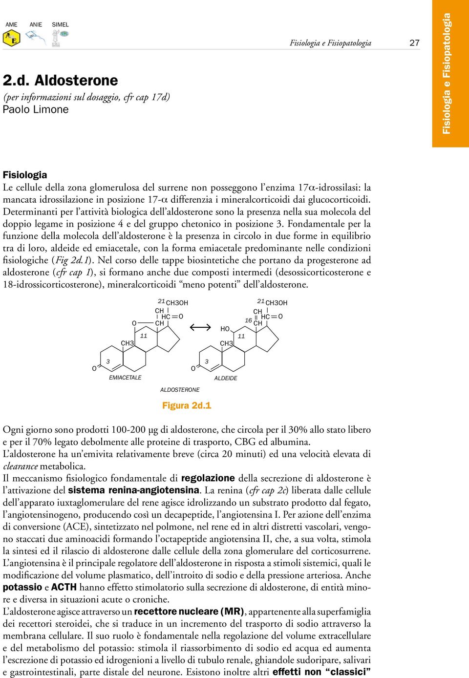 posizione 17-α differenzia i mineralcorticoidi dai glucocorticoidi.