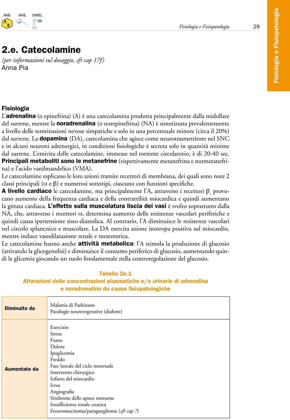 noradrenalina (o norepinefrina) (NA) è sintetizzata prevalentemente a livello delle terminazioni nevose simpatiche e solo in una percentuale minore (circa il 20%) dal surrene.