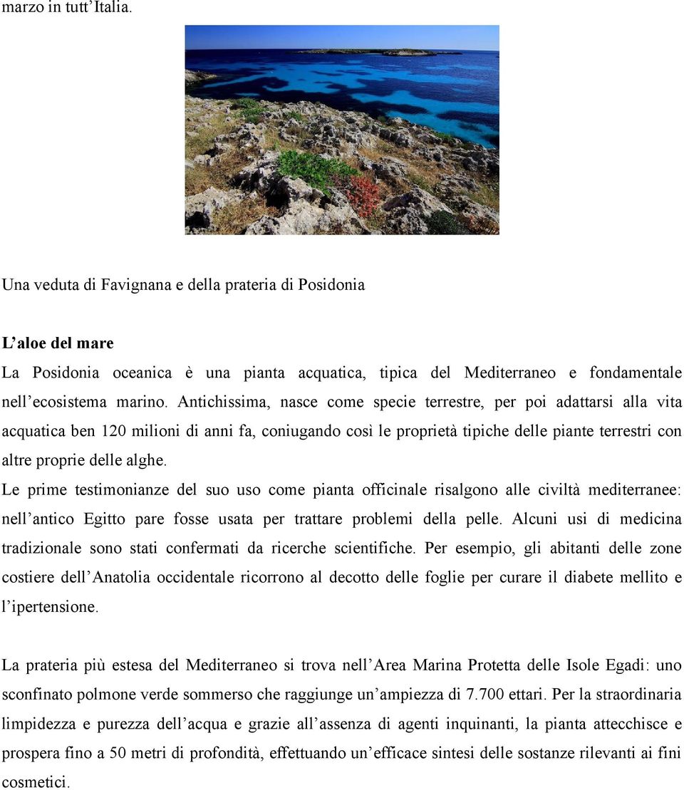 Le prime testimonianze del suo uso come pianta officinale risalgono alle civiltà mediterranee: nell antico Egitto pare fosse usata per trattare problemi della pelle.