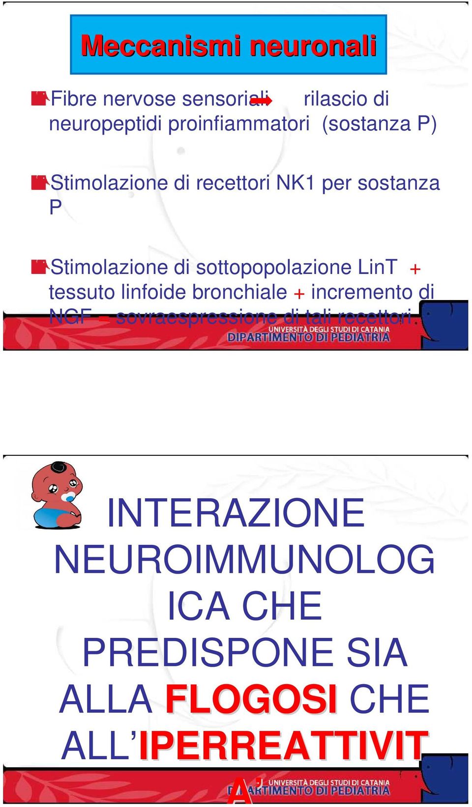 sottopopolazione LinT + tessuto linfoide bronchiale + incremento di NGF =