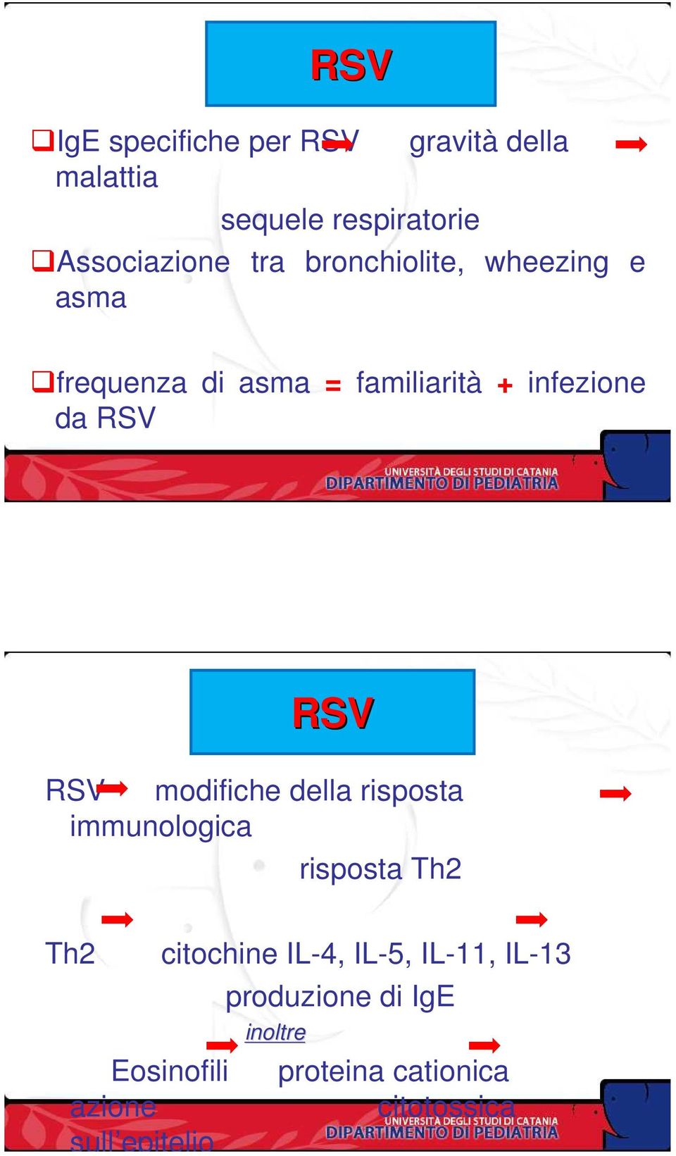 modifiche della risposta immunologica risposta Th2 Th2 Eosinofili azione sull epitelio