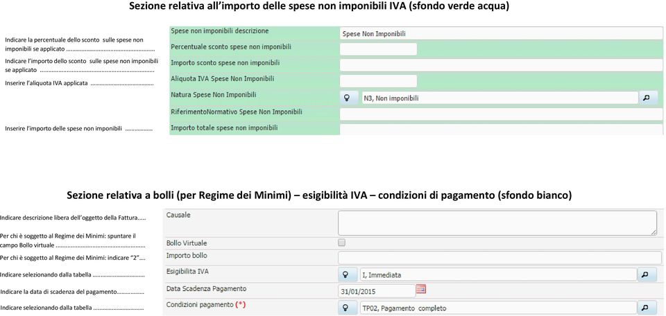 .. Sezione relativa a bolli (per Regime dei Minimi) esigibilità IVA condizioni di pagamento (sfondo bianco) Indicare descrizione libera dell oggetto della Fattura.