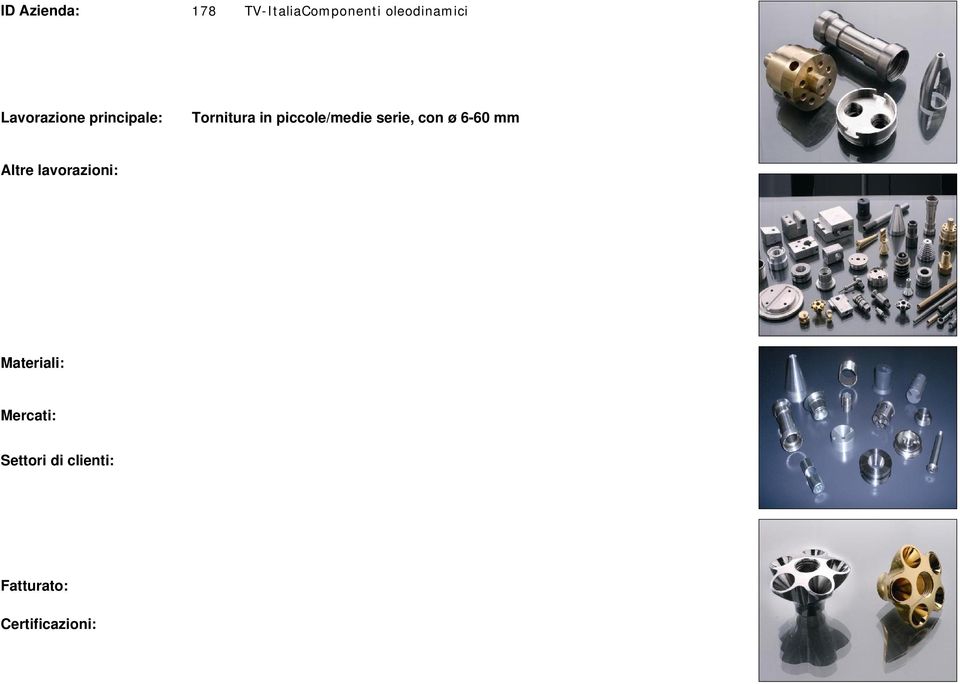 meccaniche di precisione Acciaio inox, Alluminio, Materiali ferrosi, Ottone ITALIA Componenti oleodinamici Elettrodomestici